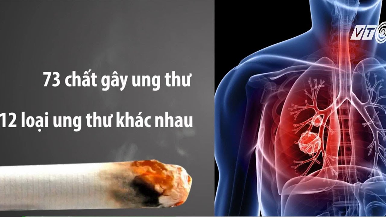 Thành phần trong khói thuốc lá
